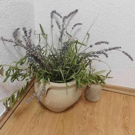 شقة Aldo Sea View