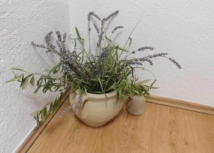 아파트 Aldo Sea View